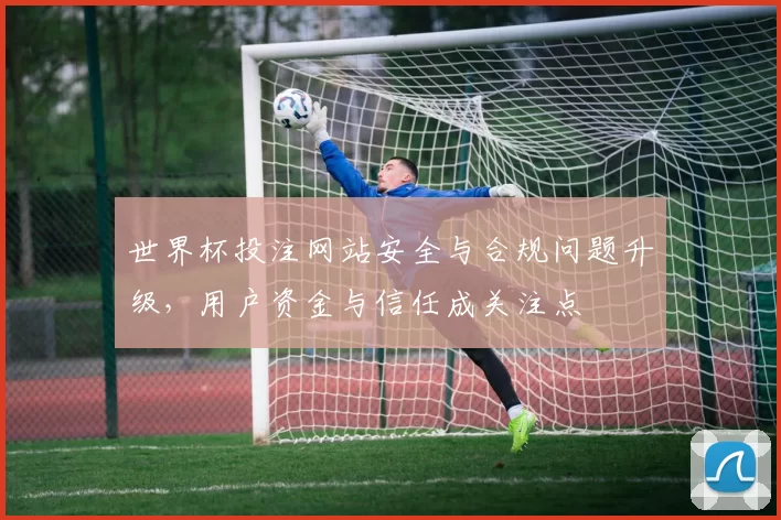 世界杯投注网站安全与合规问题升级，用户资金与信任成关注点