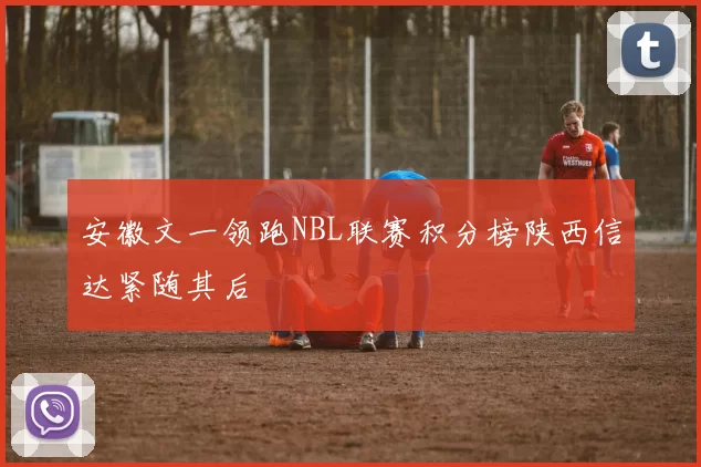 安徽文一领跑NBL联赛积分榜陕西信达紧随其后