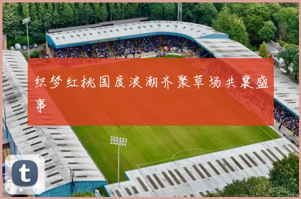 织梦红桃国度浪潮齐聚草场共襄盛事