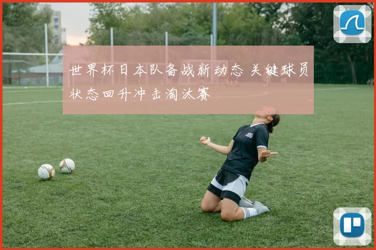 世界杯日本队备战新动态 关键球员状态回升冲击淘汰赛