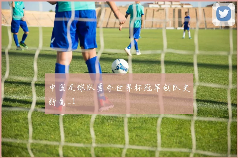 中国足球队勇夺世界杯冠军创队史新高_1