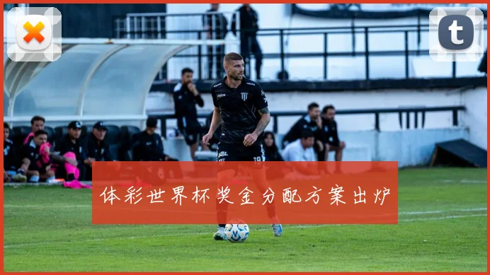 体彩世界杯奖金分配方案出炉