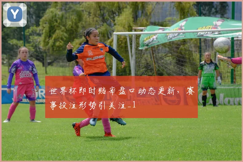世界杯即时赔率盘口动态更新，赛事投注形势引关注_1