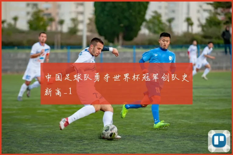 中国足球队勇夺世界杯冠军创队史新高_1