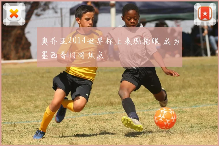 奥乔亚2014世界杯上表现抢眼 成为墨西哥门将焦点