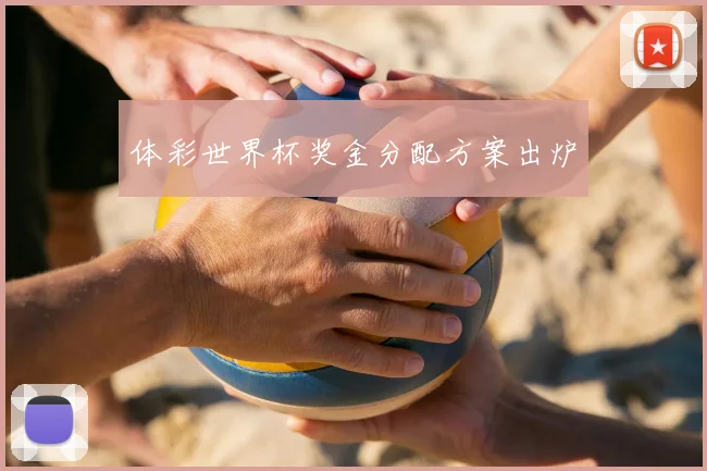 体彩世界杯奖金分配方案出炉