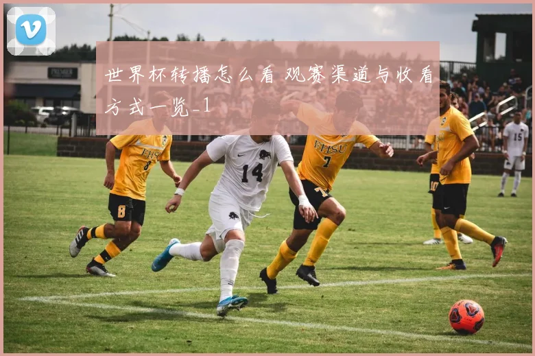 世界杯转播怎么看 观赛渠道与收看方式一览_1