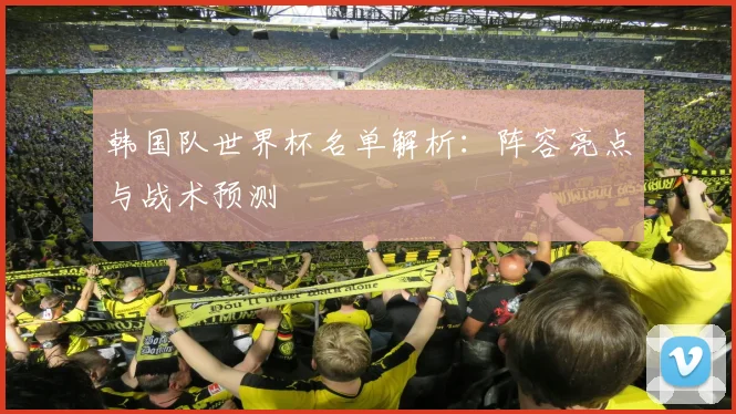 韩国队世界杯名单解析：阵容亮点与战术预测