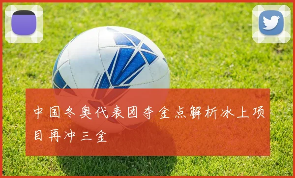 中国冬奥代表团夺金点解析冰上项目再冲三金