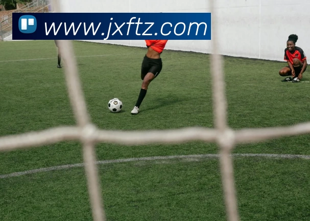 多媒体互动体验